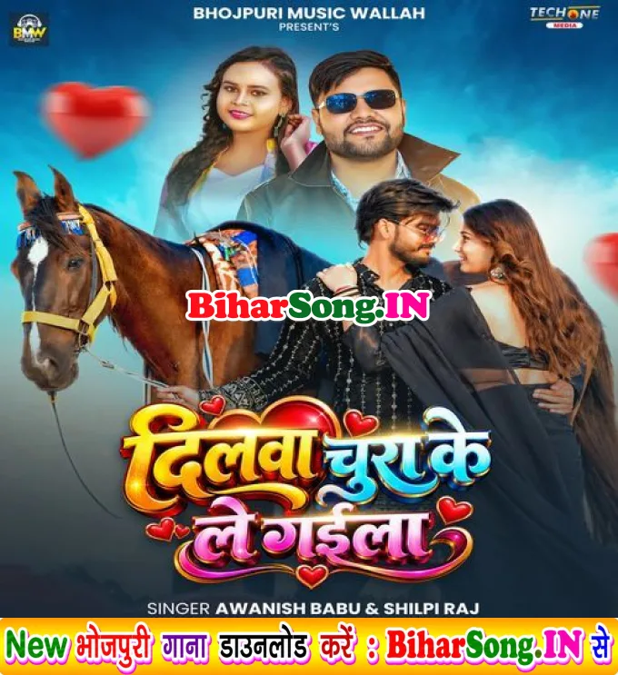 Dilwa Chura Ke Le Gaila Hamara Sina Se
