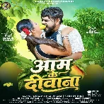 Aam Ke Diwana (Vijay Chauhan, Shilpi Raj)