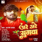 Are Are Sugwa (Aashish Yadav)
