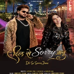 Dil Se Sorry Janu (Arvind Akela Kallu, Shilpi Raj)