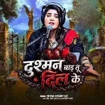 Dushman Bada Tu Dil Ke