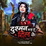 Dushman Bada Tu Dil Ke (Nisha Upadhyay) 