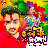 6 Inch Ke Chhot Pichkari