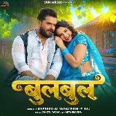 Bagaiche Me Bulbul Bichhai Da Odhaniya.mp3