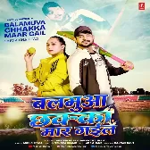 Balamua Chakka Maar Gail (Ankush Raja)