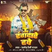 BIna Sochle Je Goli Mare U Rangdare Hawe.mp3