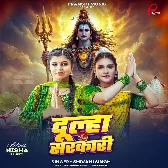 Dulha Sarkari (Shivani Singh)