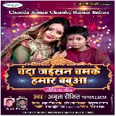 Chanda Jaisan Chamke Hamar Babua   Amrita Dixit Mp3 Song