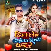 Dil Chhod Aila Dildar Sajanwa Delhi Sahar Me