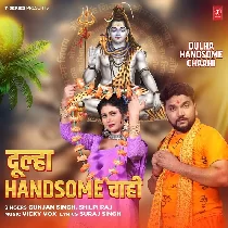 Dulha Handsome Chaahi