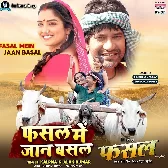 Fasal Mein Jaan Basal