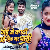 Gehu Je Kati Uhe Hik Bhar Dhasi (Shashi Lal Yadav, Antra Singh Priyanka)