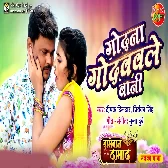 Dramebaaz Damad (Deepak Dildar)