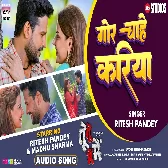 Tu Tu Main Main (Ritesh Pandey)