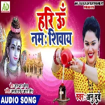 Hari Om Namah Shivay Mp3 Song
