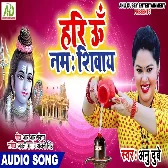 Hari Om Namah Shivay   Anu Dubey Mp3 Song