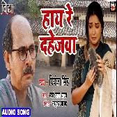 Vidhya (Amrapali Dubey)