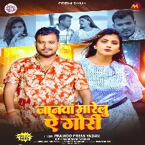 Jaanwa Marelu Ae Gori