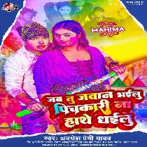 Jab Tu Jawan Bhailu Pichkari Na Hathe Dhailu