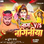 Nag VS Naginiya (Bullet Raja)