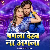 Pagla Dehab Na Agla (Alwela Ashok)