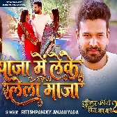 Dulhan Wahi Jo Piya Man Bhaye 2 (Ritesh Pandey, Aparna Malik)