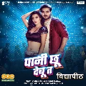 Vidyapeeth (Arvind Akela Kallu)