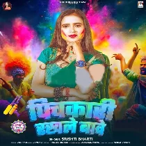 Pichakari Rakhale Bawe