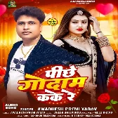 Pichhe Godam Kake Re