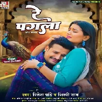 Re Pagali Kaise Suratiya Tor Bhulaib Re Re Pagali Kaise Suratiya Tor Bhulaib Re