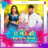 Rop La Ae Bhauji Dhoriye Me Baiganwa.mp3