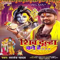 Shiv Dulha Bane Hai