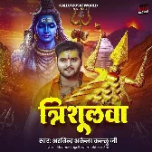 Trishulwa Se Bad Hathiyar Kawan Ha.mp3