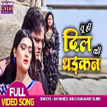 Tu Hi Dil Ki Dhadkan