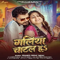 Galiya Katal Ha Ki Chatal Ha Ae Nanado