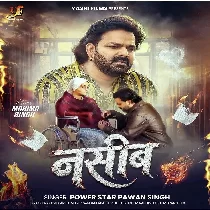 Naseeb (Pawan Singh)