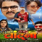 Pyari Chandni (Pawan Singh, Nidhi Jha)