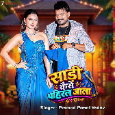 Youtube Pe Dekhi Saari Kaise Pahiral Jala